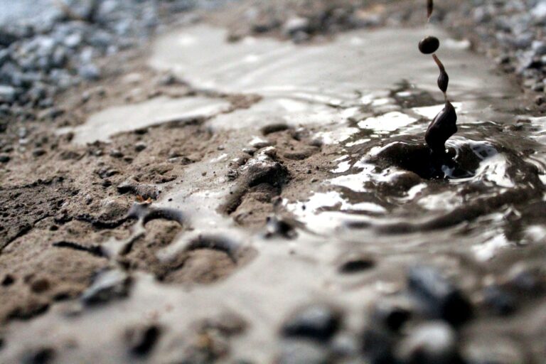 a puddle of water with a plant sticking out of it